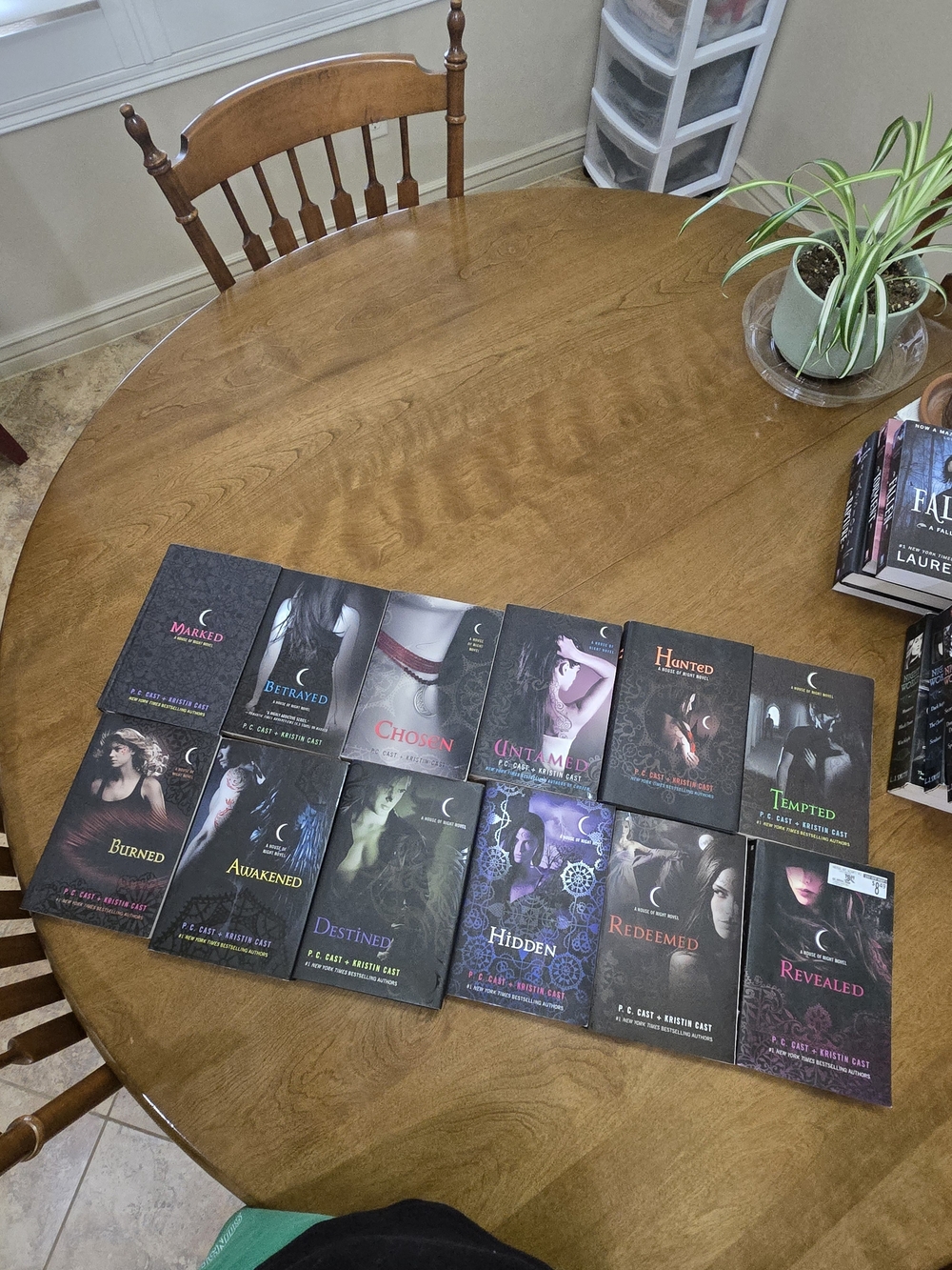 Paranormal YA Paperback Book Lot - 14 Titles - Black/Purple Covers